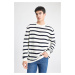 DEFACTO Ecru Standard Fit Regular Cut Crew Neck Striped Knitwear Sweater