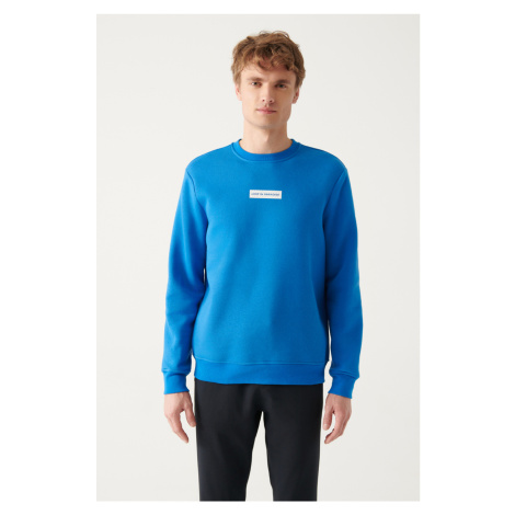 Avva Men's Saxe Blue Crew Neck Printed Regular Fit Sweatshirt