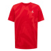 Jordan Tričko  červená / rubínová / biela