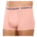 3PACK pánske boxerky Tommy Hilfiger viacfarebné (UM0UM02850 0TT)