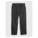 GAP Kids Jeans fleece-lined original fit Washwell - Boys