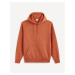 Celio Vesix Hoodie - Men