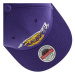 Mitchell & Ness NBA Los Angeles Lakers Team Ground 2.0 Stretch Snapback Cap HHSS3257-LALYYPPPPUR