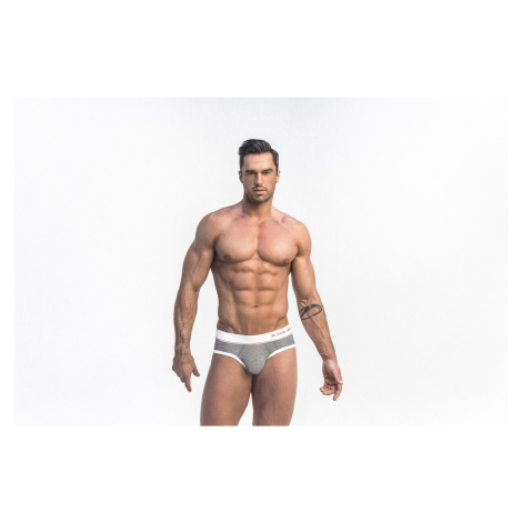 BR209 Šedé nohavičky - Alpha Male Alpha Male Undies