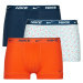 Nike  EVERYDAY COTTON STRETCH X3  Boxerky Viacfarebná