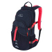 Cycling backpack LOAP TOPGATE Blue/Pink