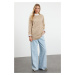 Trendyol Mink Openwork/Hole Knitwear Sweater