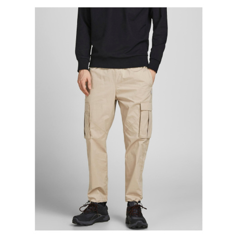 Pánske nohavice Jack & Jones