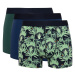 DEFACTO Men's Regular Fit Patterned 3-Pack Boxer