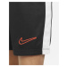 Šortky Nike Dri-FIT Academy 23 Short Kids