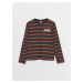 LC Waikiki Crew Neck Striped Long Sleeve Boys' T-Shirt