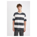 DEFACTO Anthracite Boxy Fit Crew Neck Striped Cotton Short Sleeve T-Shirt