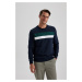 DEFACTO Regular Fit Crew Neck Basic Sweatshirt