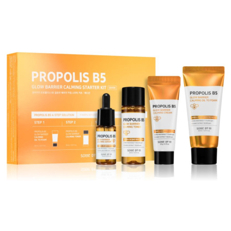 Some By Mi Propolis B5 Glow Barrier sada