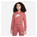 Dívčí mikina Sportswear Club Jr Nike model 17900894 - Nike SPORTSWEAR