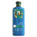 Herbal Essences šampón Argan Oil Restoration 350ml