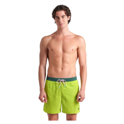 Arena Men's Team Stripe Beach Boxer