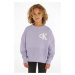 Detská bavlnená mikina Calvin Klein Jeans fialová farba, s nášivkou
