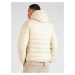 HOLLISTER Zimná bunda  svetlobéžová