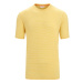 ICEBREAKER Funkčné tričko  žltá / biela