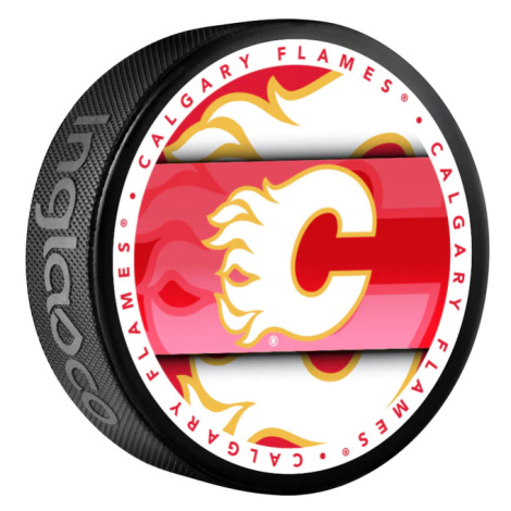 Calgary Flames puk Medallion Souvenir Collector