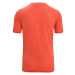ICEBREAKER Funkčné tričko 'GEODETIC'  svetložltá / oranžová / homárová