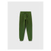 OVS Teplákové nohavice 1593237 Zelená Regular Fit