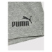 Puma Športové kraťasy Essentials 586972 Sivá Regular Fit