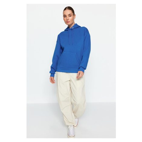 Trendyol Saks Hooded Back Printed Oversize/Wide Fit Thick Inside Fleece Knitted Sweatshirt