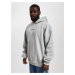 Men's sweatshirt Nero Hoody gray