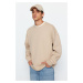 Trendyol Beige Crew Neck Oversize/Wide Cut Soft Brushed Thessaloniki Sweatshirt