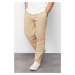 Trendyol Limited Edition Mink Regular Fit Pleated Detailed Soft Touch Chino Trousers