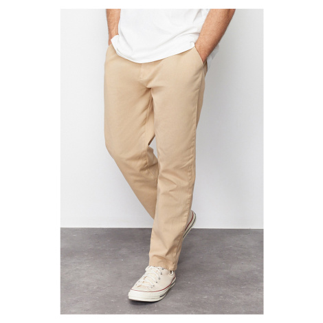 Trendyol Limited Edition Mink Regular Fit Pleat Detailed Soft Touch Chino Trousers