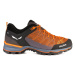 Salewa Mtn Trainer Lite