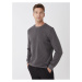 LC Waikiki Crew Neck Long Sleeve Men's Sweatshirt