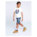 Timberland Športové kraťasy T24C17 D Zelená Regular Fit