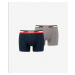 2PACK men's boxers Levis multicolored