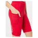 Newline Športové nohavice  svetlosivá / červená