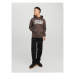 Jack&Jones Mikina Corp 12152840 Hnedá Standard Fit