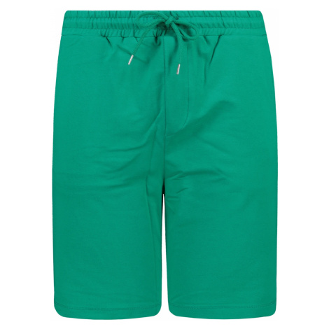 Trendyol Men's Green Regular Fit Paneled Shorts