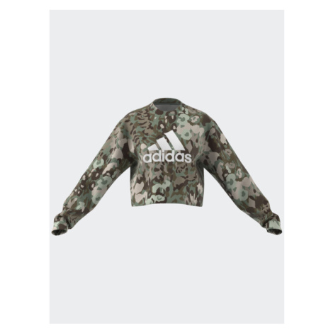 Adidas Mikina Graphic Sweatshirt IC0578 Zelená Loose Fit