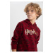 DEFACTO Boys Harry Potter Regular Fit Hooded Sweatshirt