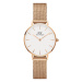 Dámske hodinky DANIEL WELLINGTON DW00100219 - PETITE MELROSE (zx705a)