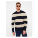 LC Waikiki Crew Neck Long Sleeve Striped Men's Knitwear Sweater