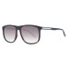 Tommy Hilfiger Sunglasses