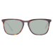 Hackett Sunglasses