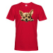 Pánské tričko Čivava -  tričko pre milovníkov psov