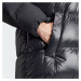 ADIDAS ORIGINALS Zimný kabát  čierna