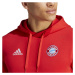 Adidas FC Bayern Dna Hoodie M HY3291 muži