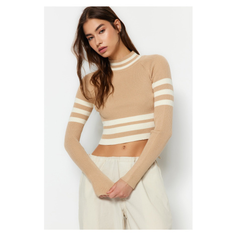 Trendyol Brown Crop Stand-Up Collar Knitwear Sweater